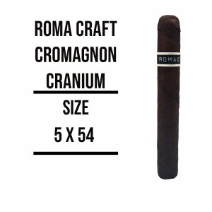 Cromagnon PA Cranium S